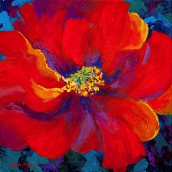 Marion Rose Passion - Red Poppy