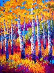 Marion Rose Path to the Lake