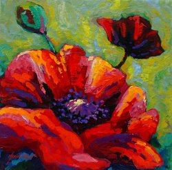 Marion Rose Poppy I