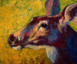 Marion Rose Portrait Of A Doe