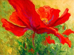 Marion Rose Red Poppy I
