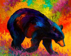 Marion Rose Roaming - Black Bear