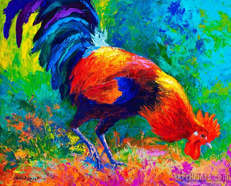 Scratchin - Rooster painting - Marion Rose Scratchin - Rooster Art Print