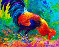 Marion Rose Scratchin - Rooster