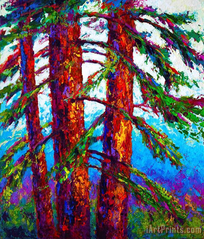 Sequoia painting - Marion Rose Sequoia Art Print