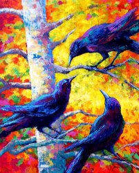 Marion Rose Social Cub I