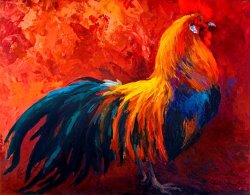 Marion Rose Strutting His Stuff - Rooster
