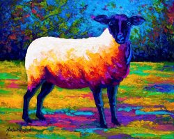 Marion Rose Suffolk Ewe 2