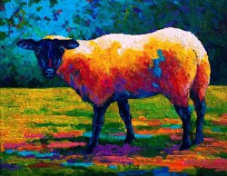Marion Rose Suffolk Ewe III