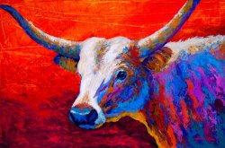 Marion Rose Sunset Ablaze