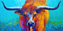 Marion Rose Widespread - Texas Longhorn