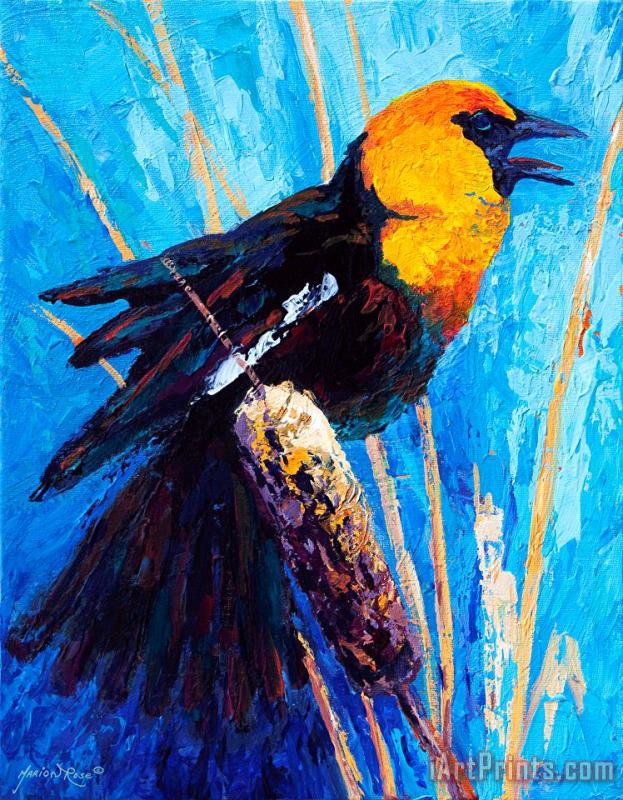 Yellow Headed Blackbird painting - Marion Rose Yellow Headed Blackbird Art Print
