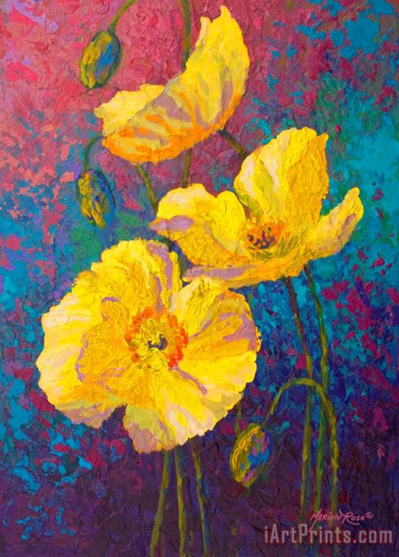 Yellow Poppies painting - Marion Rose Yellow Poppies Art Print
