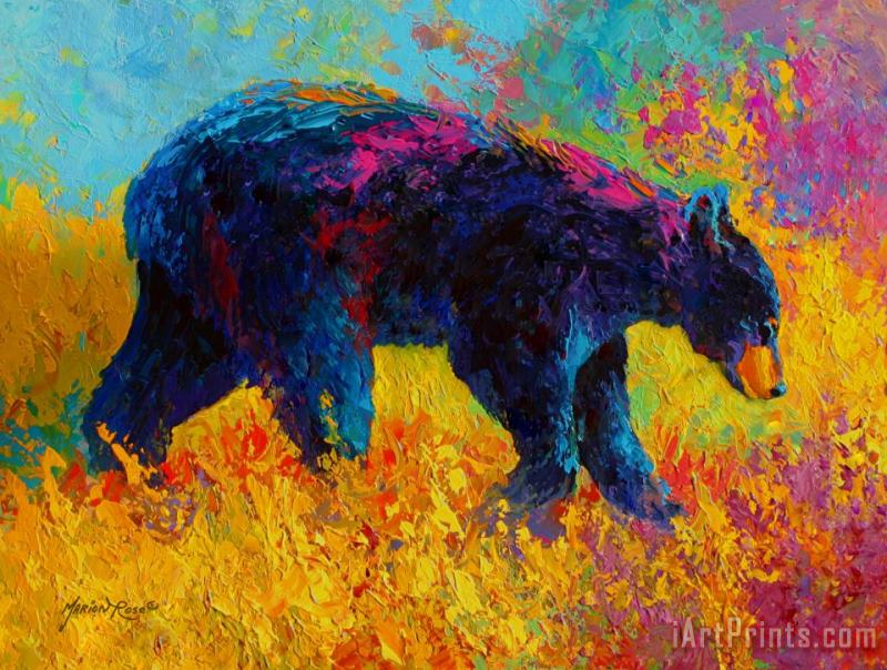 Young And Restless - Black Bear painting - Marion Rose Young And Restless - Black Bear Art Print