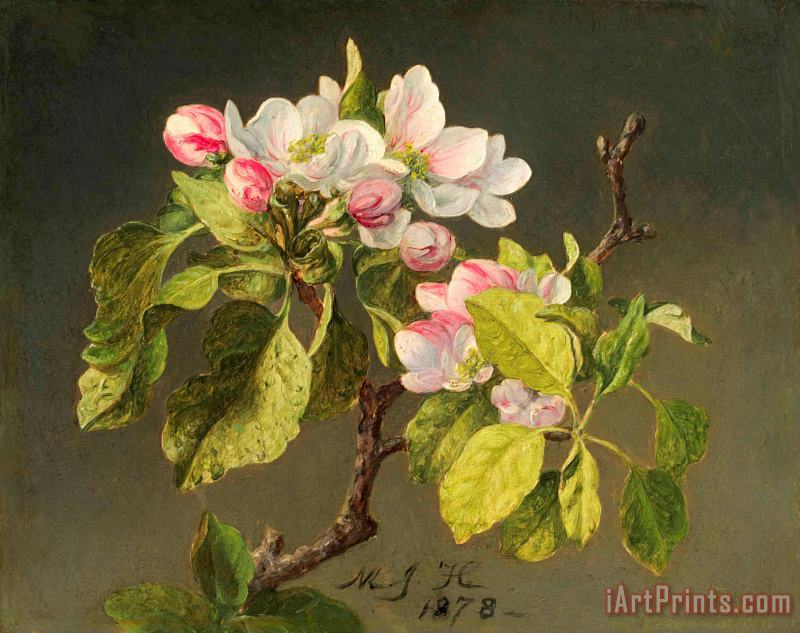 Martin Johnson Heade A Branch of Apple Blossoms And Buds Art Painting