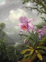 Martin Johnson Heade Hummingbird Perched on The Orchid Plant