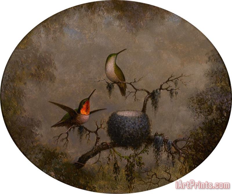 Martin Johnson Heade Hummingbirds And Their Nest Art Painting
