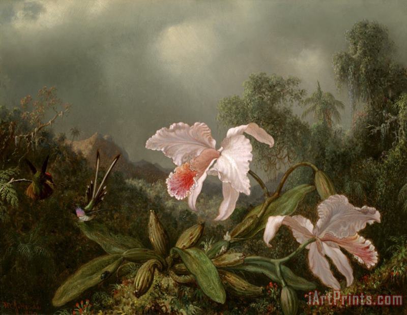 Martin Johnson Heade Jungle Orchids And Hummingbirds Art Painting