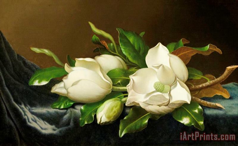 Magnolias on Blue Velvet Couch painting - Martin Johnson Heade Magnolias on Blue Velvet Couch Art Print