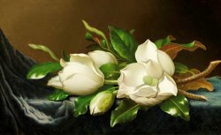 Martin Johnson Heade Magnolias on Blue Velvet Couch