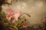 Orchid And Hummingbird by Martin Johnson Heade