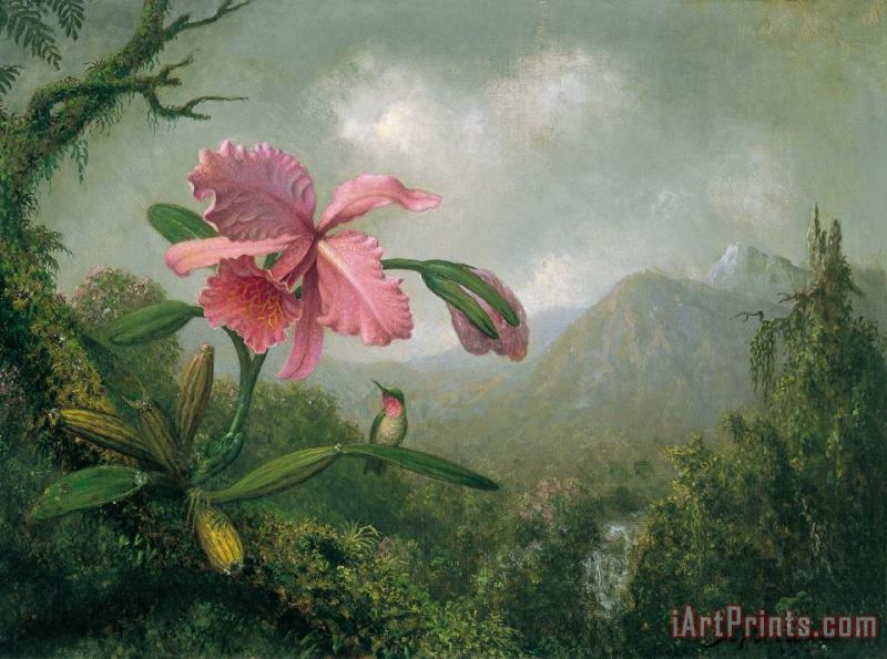 Martin Johnson Heade orchid and hummingbird near a mountain waterfall Art Painting