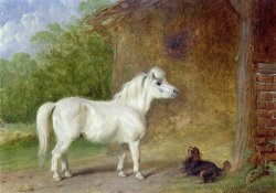 Martin Theodore Ward A Shetland pony and a King Charles spaniel