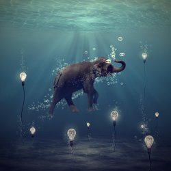 Martine Roch The dreamer
