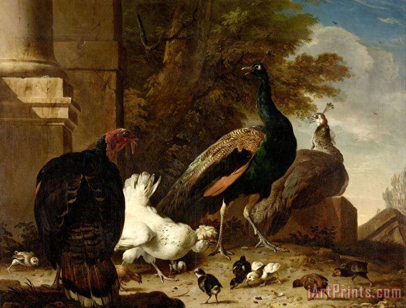 Melchior de Hondecoeter A Hen with Peacocks And a Turkey Art Painting
