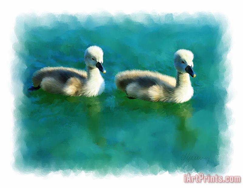 Double Ducklings painting - Michael Greenaway Double Ducklings Art Print