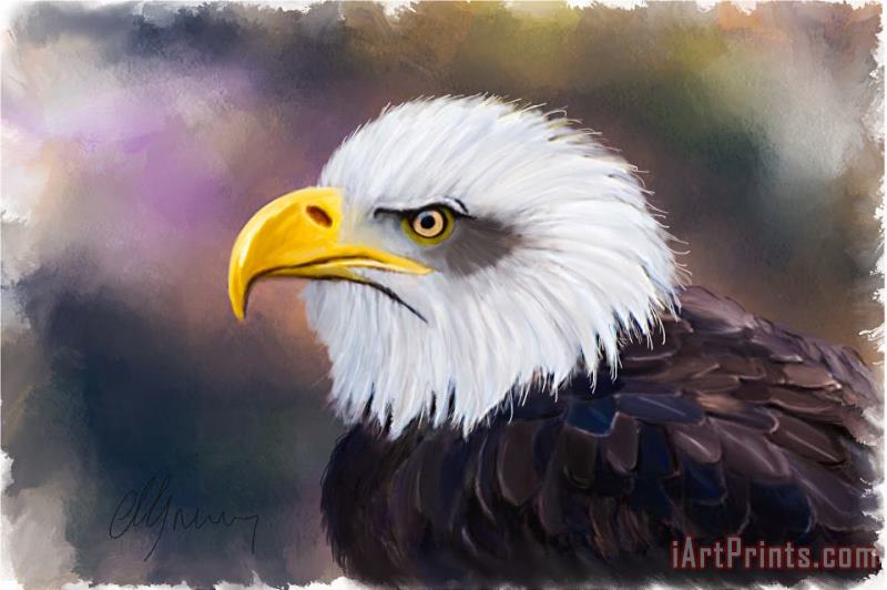 Eagle Portrait painting - Michael Greenaway Eagle Portrait Art Print