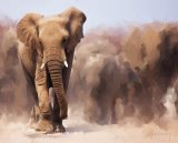 Elephant Painting by Michael Greenaway