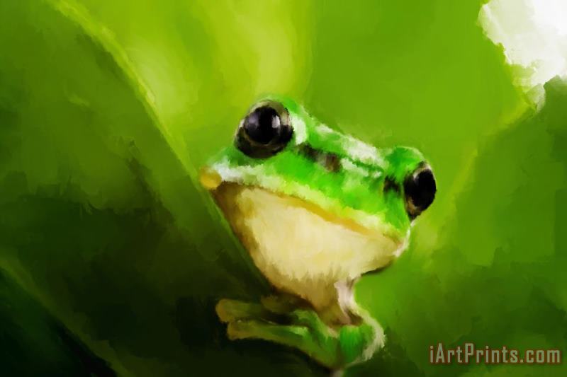 Frog painting - Michael Greenaway Frog Art Print