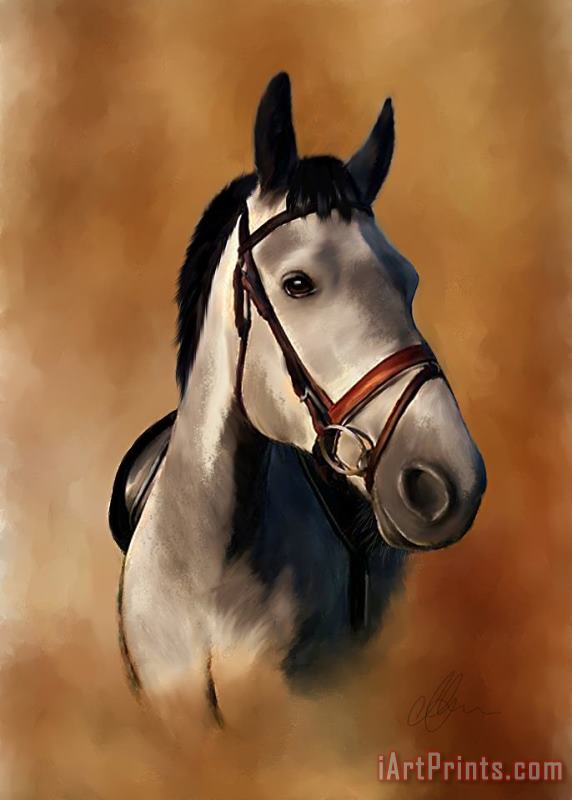 Horse Portrait painting - Michael Greenaway Horse Portrait Art Print