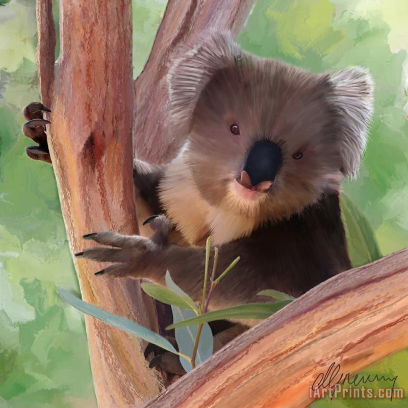 Koala Painting painting - Michael Greenaway Koala Painting Art Print