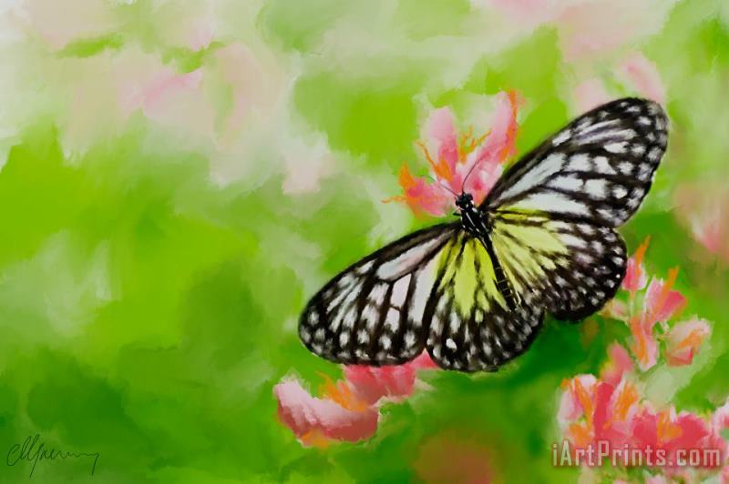 Life is Like a Butterfly painting - Michael Greenaway Life is Like a Butterfly Art Print