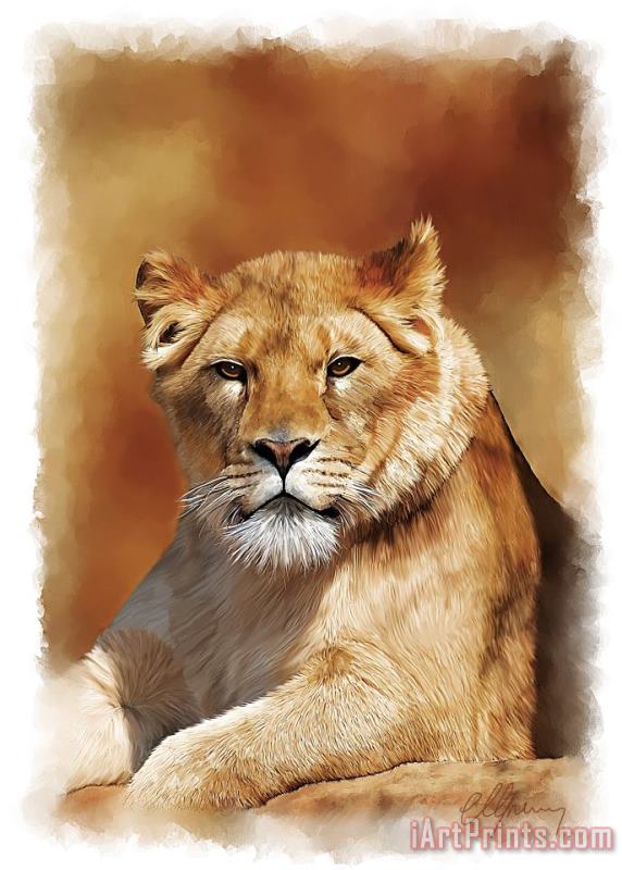 Lioness Portrait painting - Michael Greenaway Lioness Portrait Art Print