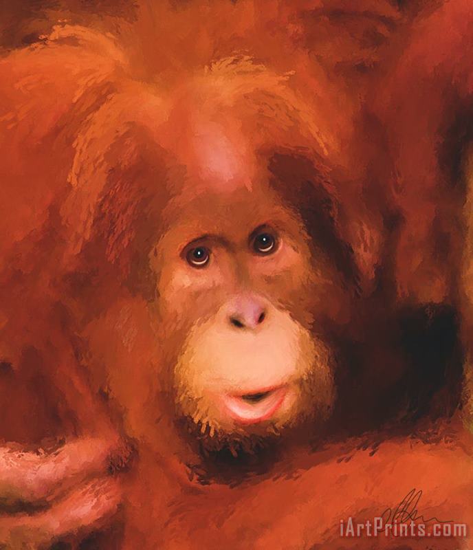 Orangutan painting - Michael Greenaway Orangutan Art Print