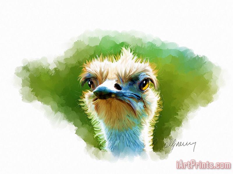 Ostrich Portrait painting - Michael Greenaway Ostrich Portrait Art Print