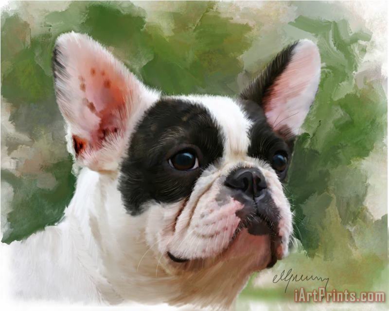 Pet Bulldog Portrait painting - Michael Greenaway Pet Bulldog Portrait Art Print
