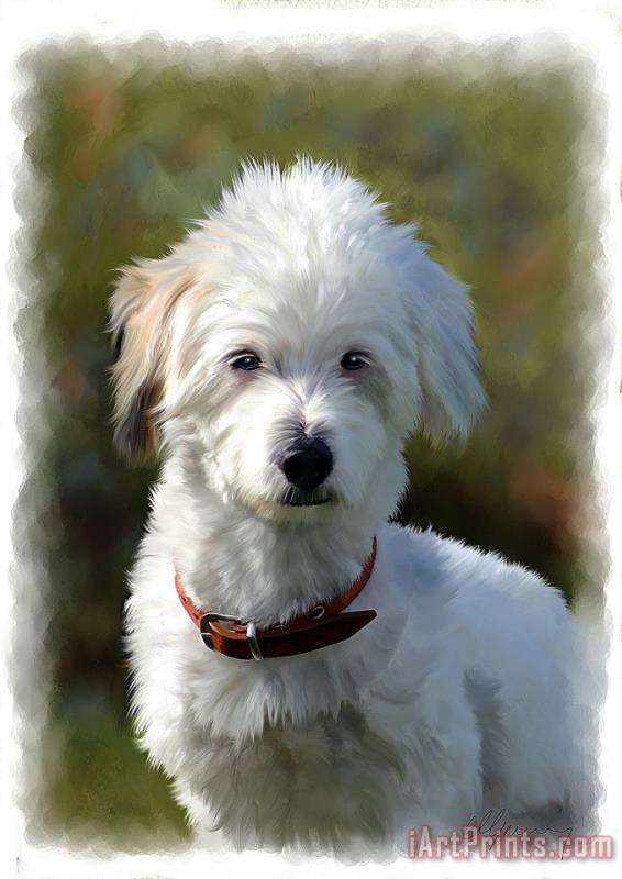 Terrier Dog Portrait painting - Michael Greenaway Terrier Dog Portrait Art Print