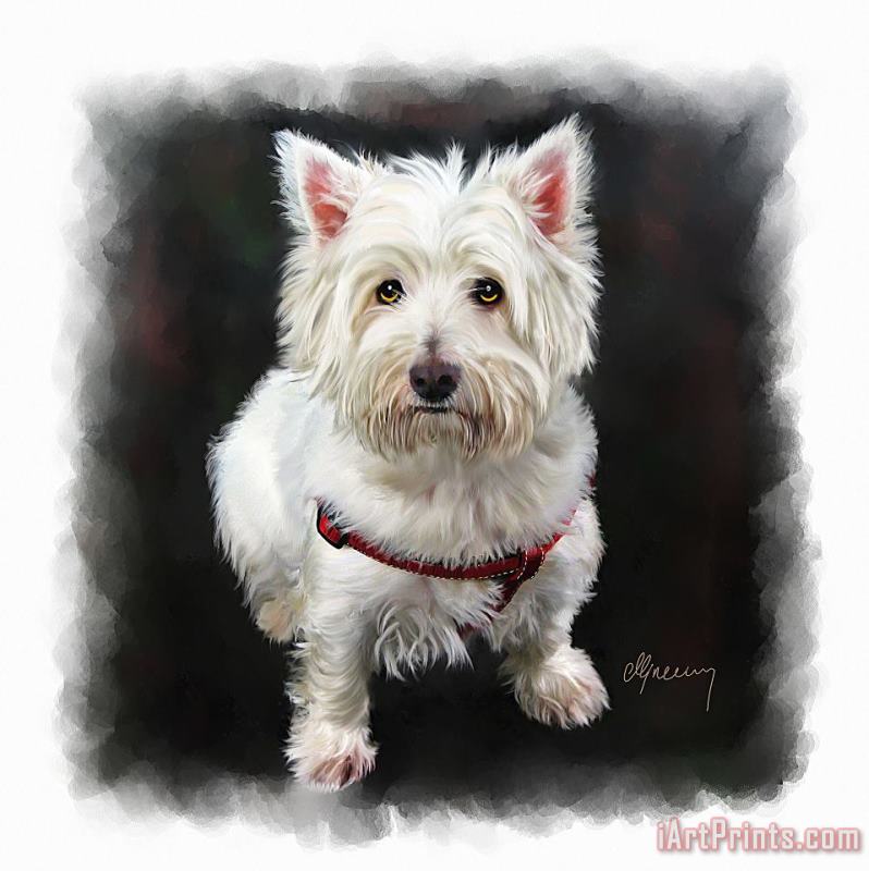 West Highland White Terrier painting - Michael Greenaway West Highland White Terrier Art Print