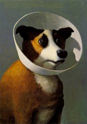 Michael Sowa Filmhound