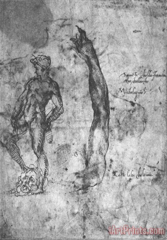 Michelangelo Study for an Arm of The Marble David And The Figure of The Bronze David Art Painting