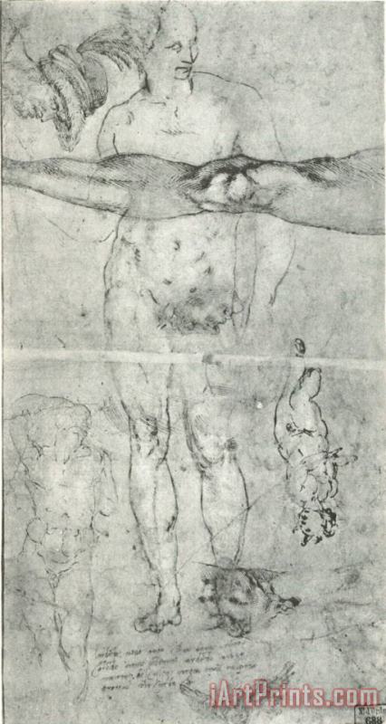Michelangelo Various Studies Including a Tracing From The Other Side of The Sheet Art Print
