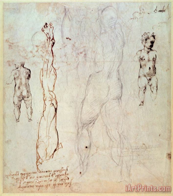 Michelangelo Buonarroti Anatomical Drawings with Accompanying Notes Art Print