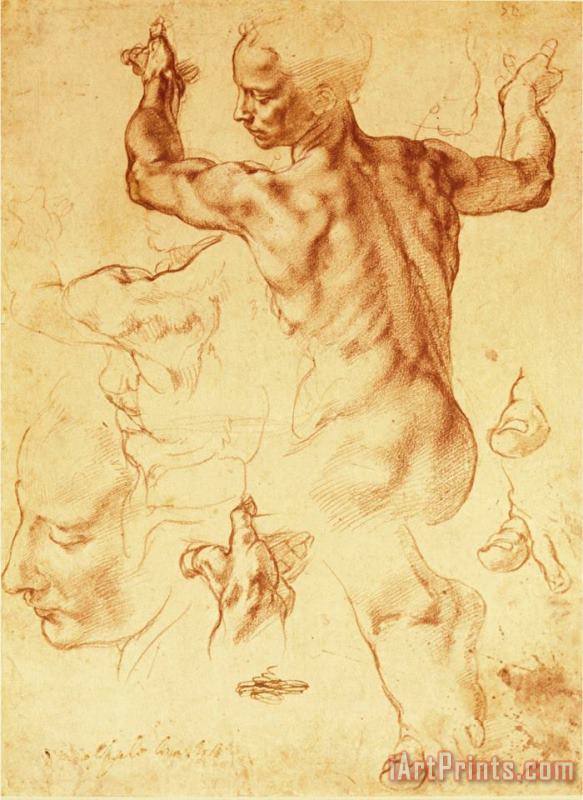 Michelangelo Buonarroti Anatomy Sketches Libyan Sibyl Art Print