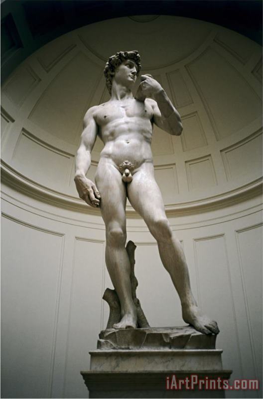 David painting - Michelangelo Buonarroti David Art Print
