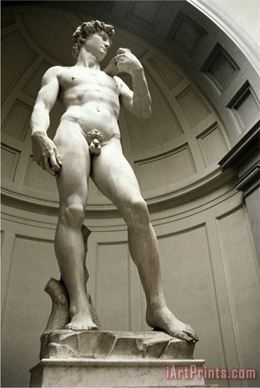 Michelangelo Buonarroti David Bottom View Art Print