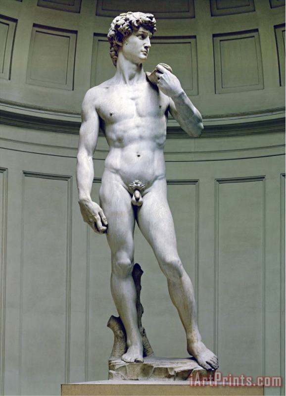 David Frontal View painting - Michelangelo Buonarroti David Frontal View Art Print